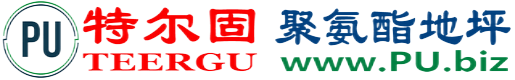 特尔固®湘阴聚氨酯地坪
